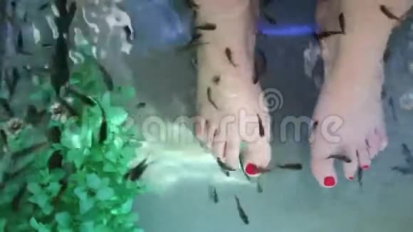 加拉鲁法鱼类自然疗法视频的预览图