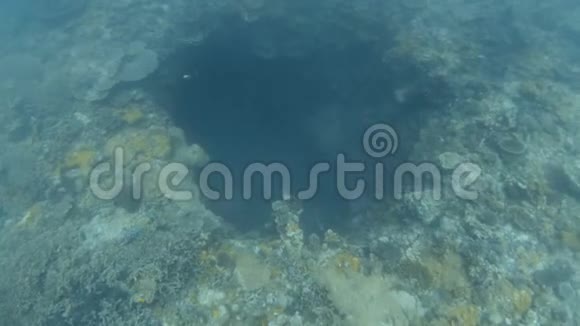 探索海底的天坑视频的预览图