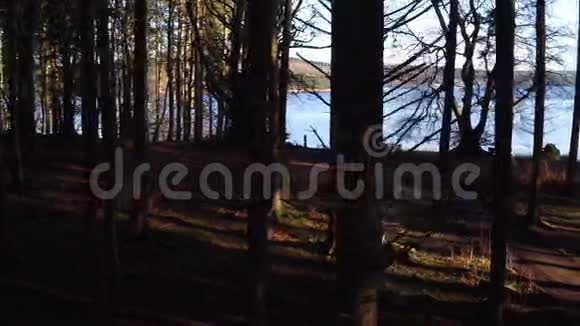 无人机飞行通过黑暗的森林与基尔德湖的背景视频的预览图