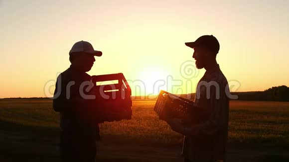 日落时两个农民在一个木箱里一起搬运玉米视频的预览图