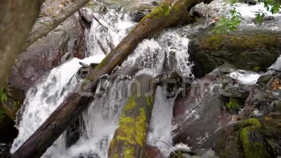 级联瀑布慢动作巨大的巨石和倒下的树木之间的水流180fps视频的预览图