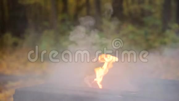 秋天森林里的火森林火灾的危险烟雾和火焰烧烤视频的预览图