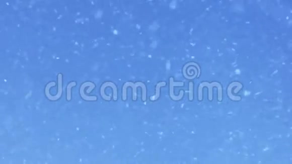 凉爽的蓝色雪花视频的预览图