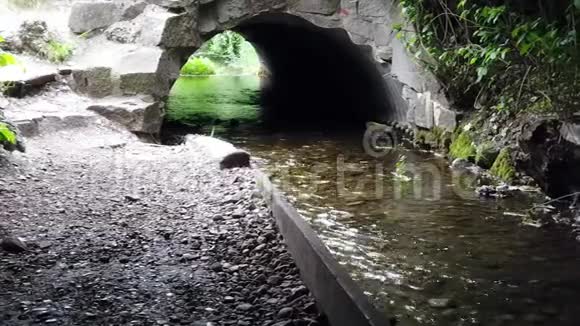 神秘的老桥和河视频的预览图