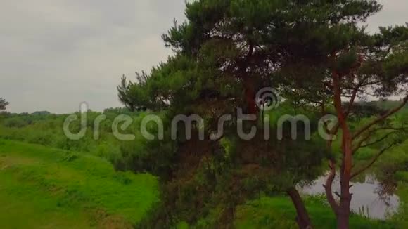 波兰乡村和河谷景观的空中拍摄视频的预览图