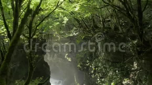 乔治亚州的马尔维利峡谷深处视频的预览图