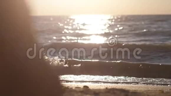 夕阳西下光着脚走在海滩上的女人走向大海慢动作1920x1080视频的预览图