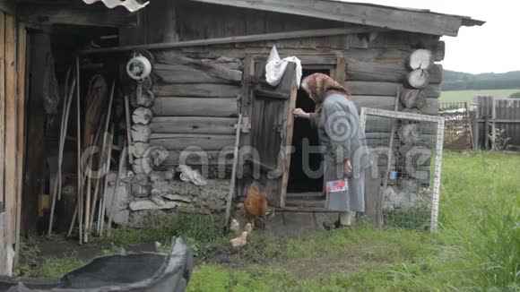 老祖母在摊子里用小鸡开始吃一只杂烩鸡视频的预览图