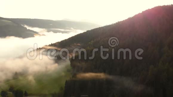 飞山晨起日出雾视频的预览图