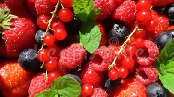 红色成熟的花园草莓和蓝莓浆果在白色桌子上旋转美丽的背景视频循环视频的预览图