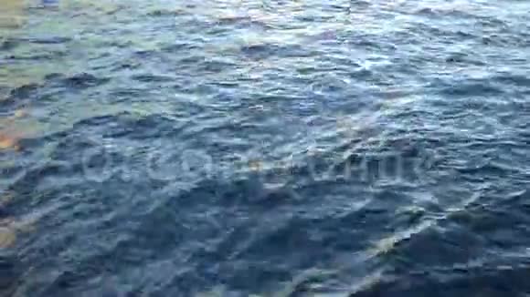 碧海湾表面有小波浪视频的预览图