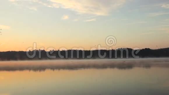 阳光明媚的早晨河滩视频的预览图