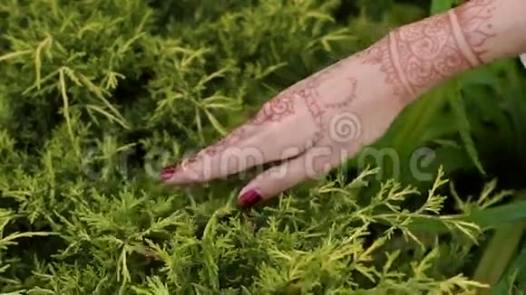女孩的手与印度迈亨迪的图纸特写视频的预览图