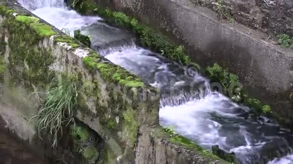 德国的纳卡河有绿树视频的预览图