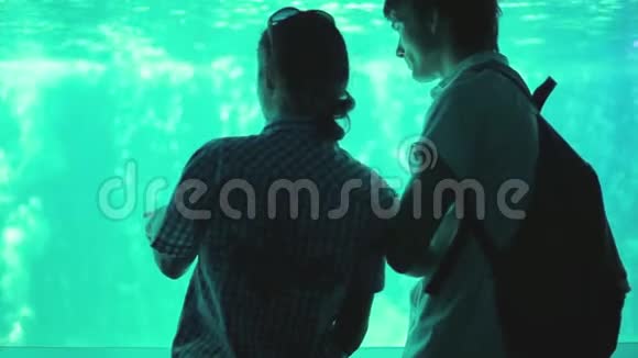 年轻漂亮的夫妇在水族馆里游泳拥抱着鱼1920x1080视频的预览图