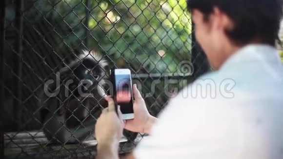 人类正在用智能手机拍摄动物园里一只小可爱的吃猴子的照片1920x1080视频的预览图