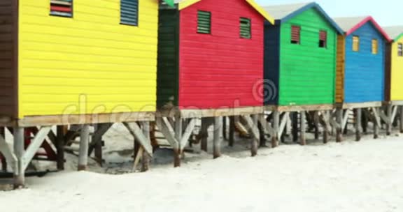在五颜六色的海滩小屋附近喝酒的老夫妇视频的预览图