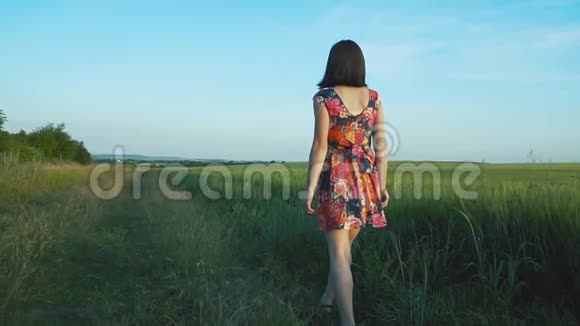 美丽迷人的欧洲女孩长腿短裙带花走在黑麦田里抚摸黑麦的尖刺视频的预览图