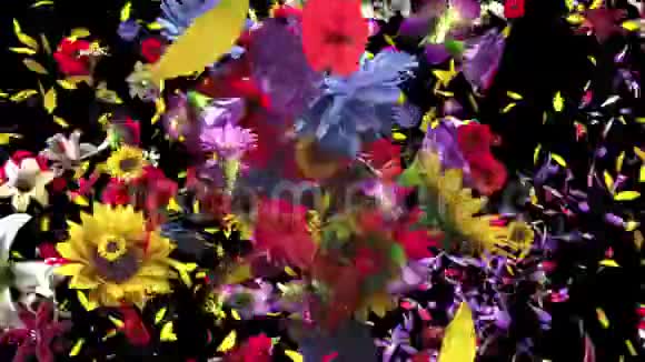 五颜六色的大花背景在4K视频的预览图