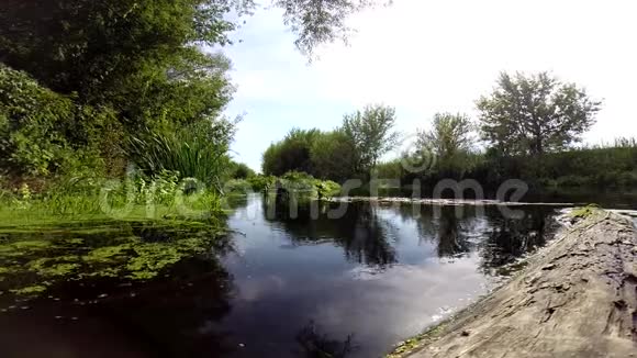 沃罗涅日地区俄罗斯中部一条安静的小河视频的预览图