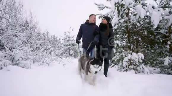 冬林中带着西伯利亚哈士奇行走的男人和女人视频的预览图