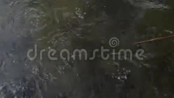 德国埃菲尔地区火山湖拉谢湖活跃从地上冒出来的气泡视频的预览图