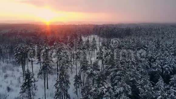 日落时分空中北欧冬季景观飞越雪山森林视频的预览图