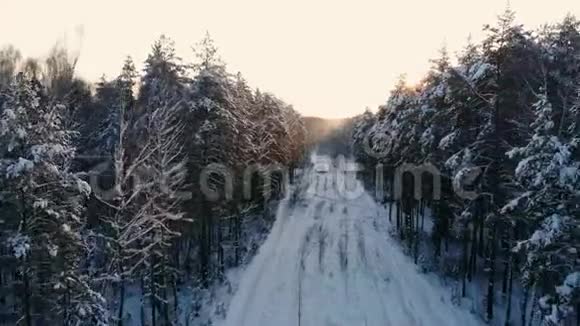日落时分空中北欧冬季景观飞越雪山森林视频的预览图