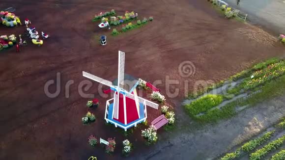 郁金香农场风车的鸟瞰图视频的预览图