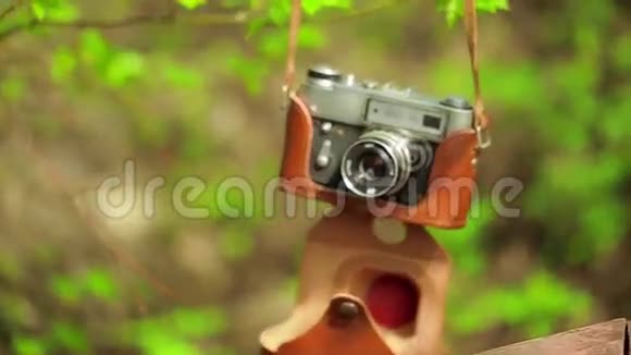 挂在树上的旧相机视频的预览图