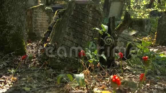 一个古老的墓地上面刻着死去的语言视频的预览图