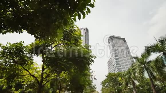 在棕榈树的背景下摩天大楼在运动中射击马尼拉马卡蒂区菲律宾视频的预览图