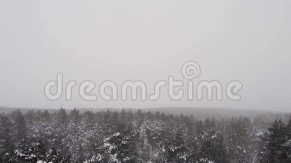 在一个寒冷的白天飞过冬天的森林视频的预览图