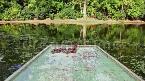 在河上乘船树木倒出水面视频的预览图