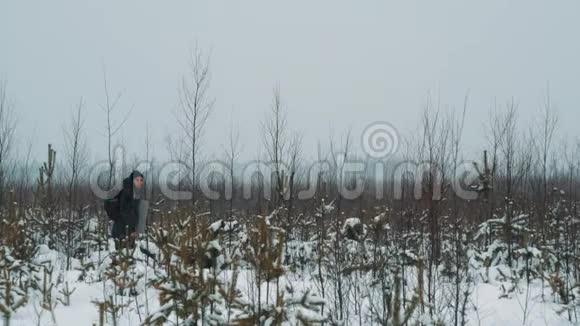 冬日里年轻的旅行者在白雪覆盖的草原灌木上散步视频的预览图