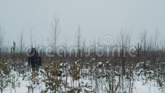冬日里年轻的徒步旅行者漫步在白雪覆盖的草原灌木丛中视频的预览图