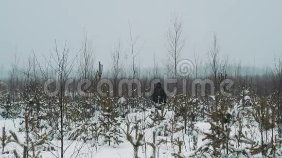 冬天的一天在白雪覆盖的草原灌木上散步的年轻人视频的预览图