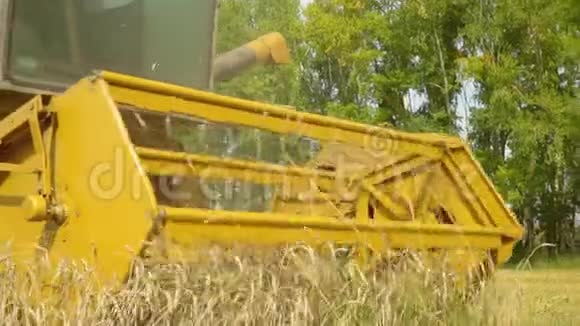 这辆黄色的汽车在田里收割小麦晴天农业联合收割机收割小麦慢动作视频的预览图