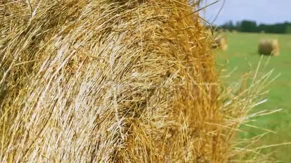 乡间田野的自然与金黄的干草视频的预览图