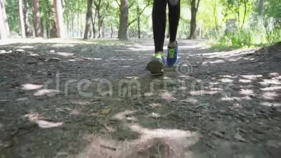 早上在树林里跑步的女孩视频的预览图