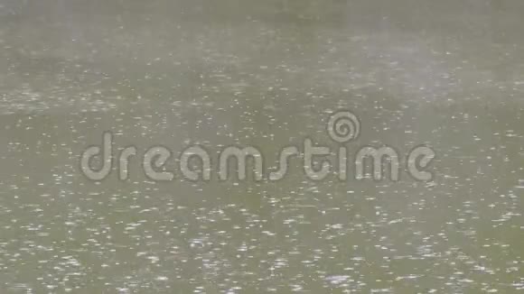 夏天河上的雨滴视频的预览图