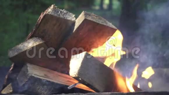 在大自然的暑假里在露营火上燃柴视频的预览图