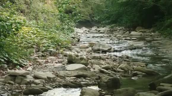河水流过两岸的石头上面长满了灌木视频的预览图