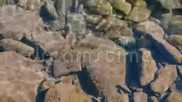 水石视频背景视频的预览图