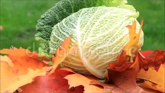 萨沃伊蔬菜旋转视频的预览图