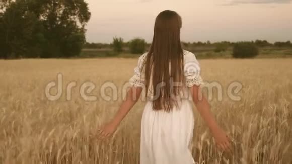 女孩在田野里旅行生态旅游的概念快乐的女孩走过一片黄麦地摸着耳朵视频的预览图