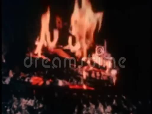篝火的静物视频的预览图