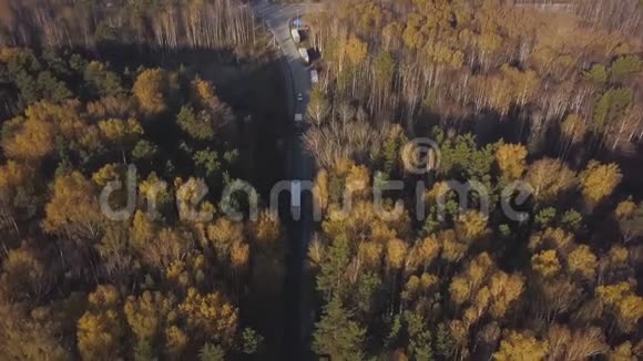 货车和汽车在郊区公路上穿过秋天的森林视频的预览图