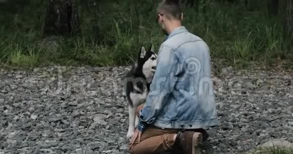西伯利亚哈士奇搞笑狗在自然界视频的预览图