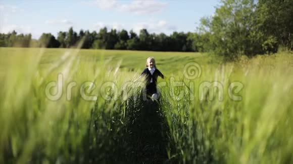 金发小女孩正在绿色的麦田里奔跑视频的预览图
